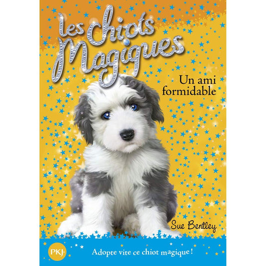 Livre Les Chiots Magiques – Mon Ami Formidable