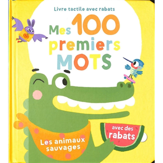Livre Mes 100 Premiers Mots