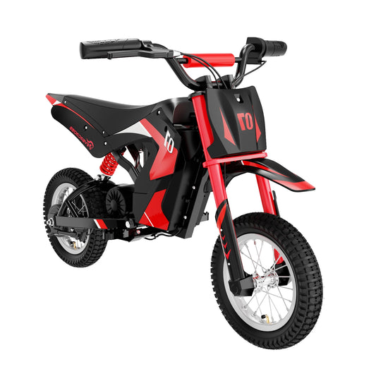 Moto Électrique EVERCROSS EV12M